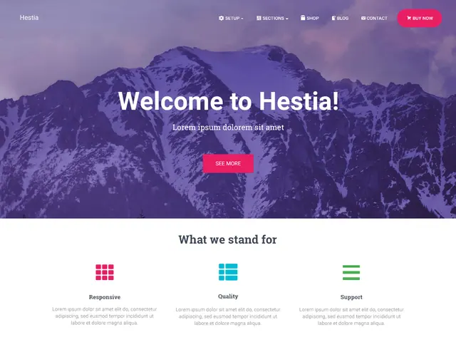Hestia theme screenshot from its WordPress.org listing