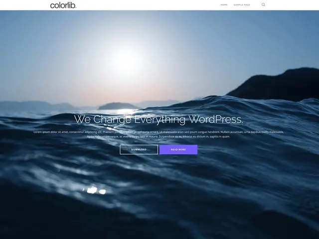 Shapely screenshot from its WordPress.org listing