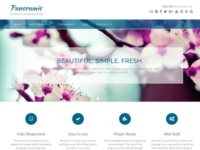 Panoramic screenshot from its WordPress.org listing