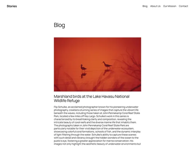 Twenty Twenty-Five theme screenshot from its WordPress.org listing