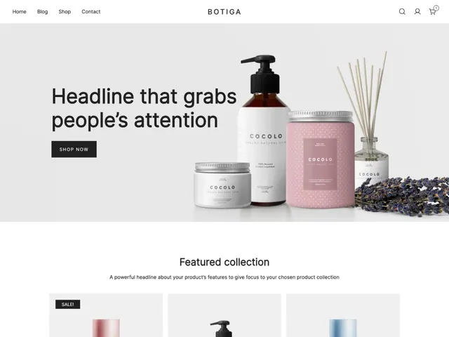 Botiga screenshot from its WordPress.org listing
